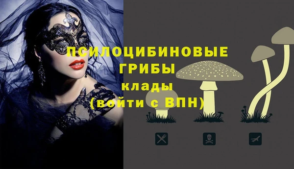 трава Абаза