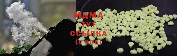 сатива Новозыбков
