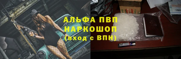 сатива Новозыбков