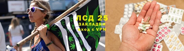 шишки Апатиты