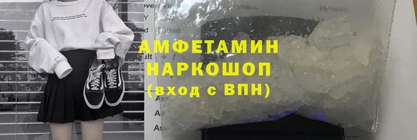 сатива Новозыбков