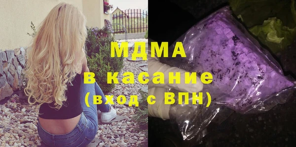сатива Новозыбков