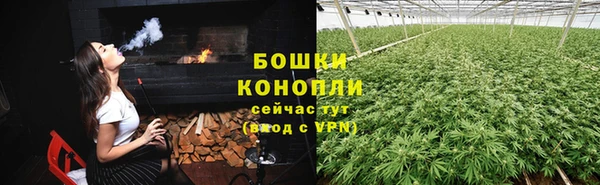 трава Абаза