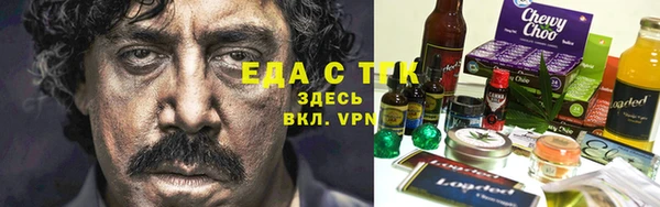 сатива Новозыбков
