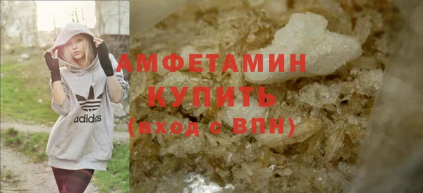 шишки Апатиты