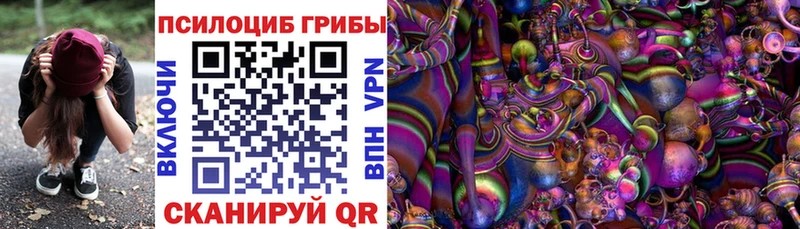 Псилоцибиновые грибы MAGIC MUSHROOMS  Чита 